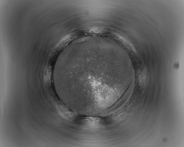 X0000097980328200804071131