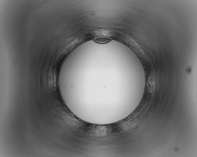 X0000097980330200804071131