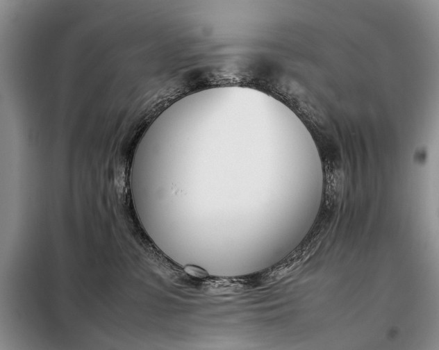 X0000097980331200804071131