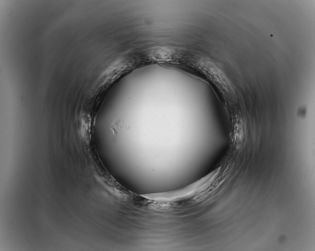 X0000097980332200804071131