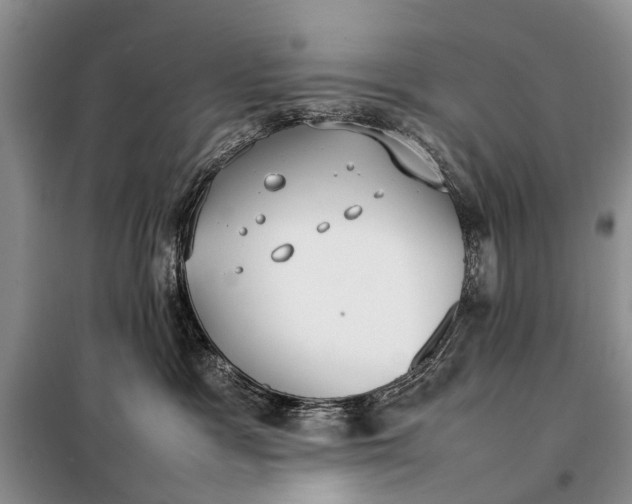X0000097980333200804071131