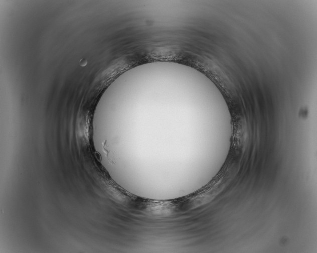 X0000097980334200804071131