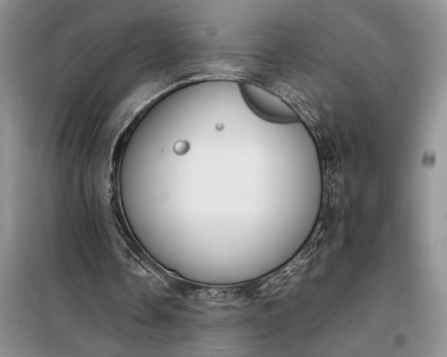 X0000097980338200804071130