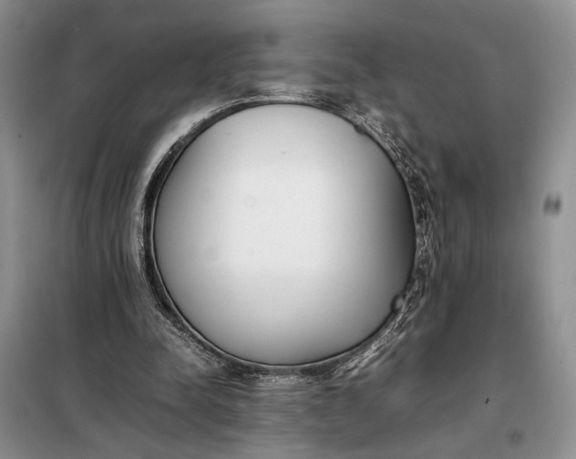 X0000097980342200804071130