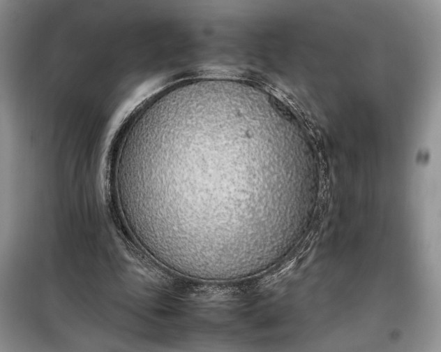 X0000097980343200804071130