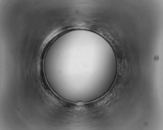 X0000097980344200804071130