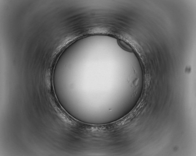 X0000097980345200804071130