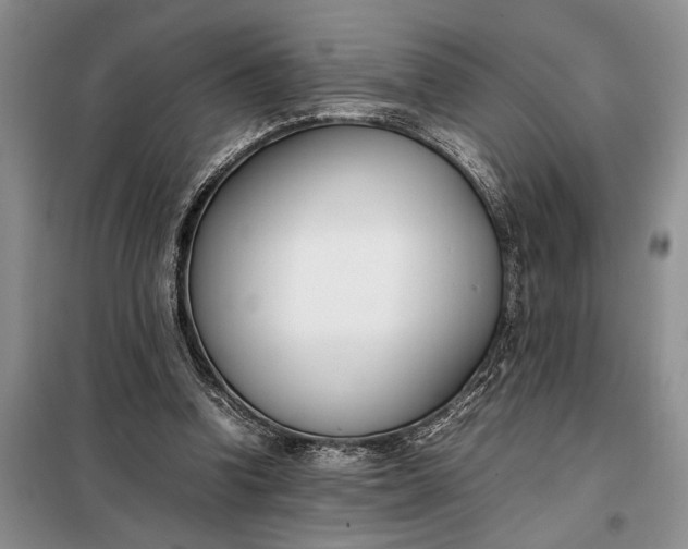 X0000097980346200804071130