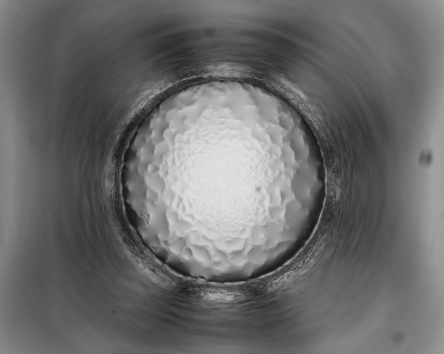 X0000097980347200804071130