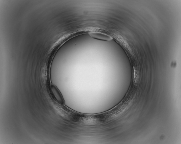 X0000097980348200804071131