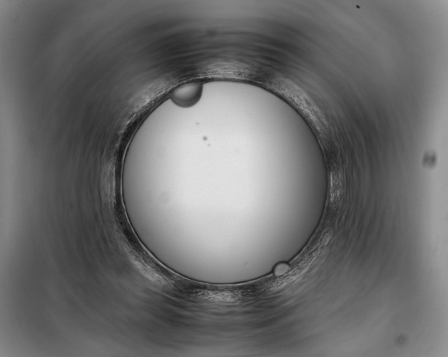 X0000097980349200804071131