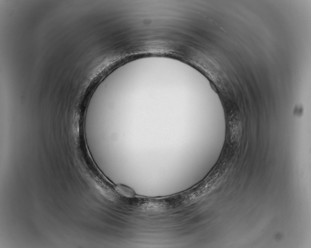 X0000097980350200804071131