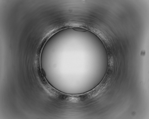 X0000097980352200804071131