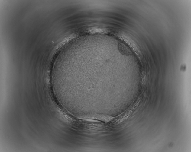 X0000097980353200804071131