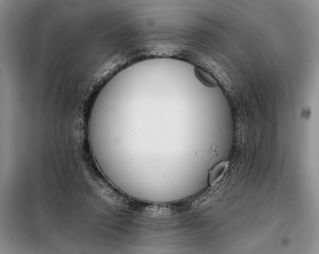 X0000097980354200804071131
