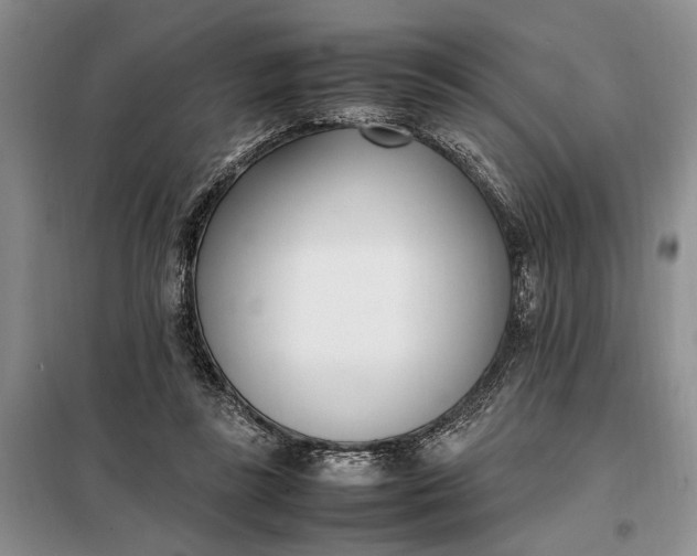 X0000097980355200804071131