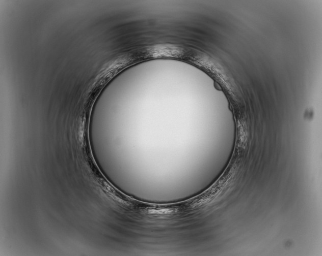 X0000097980357200804071131