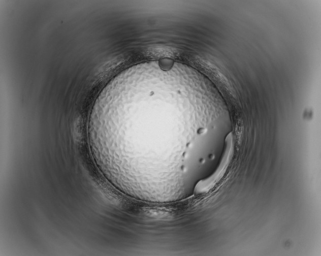 X0000097980359200804071131