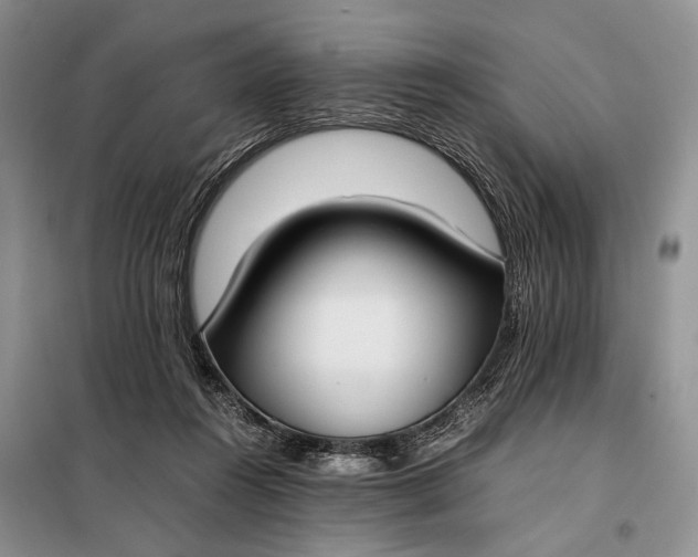 X0000097980360200804071131