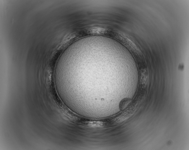 X0000097980363200804071131