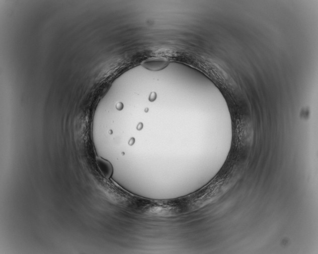 X0000097980364200804071131
