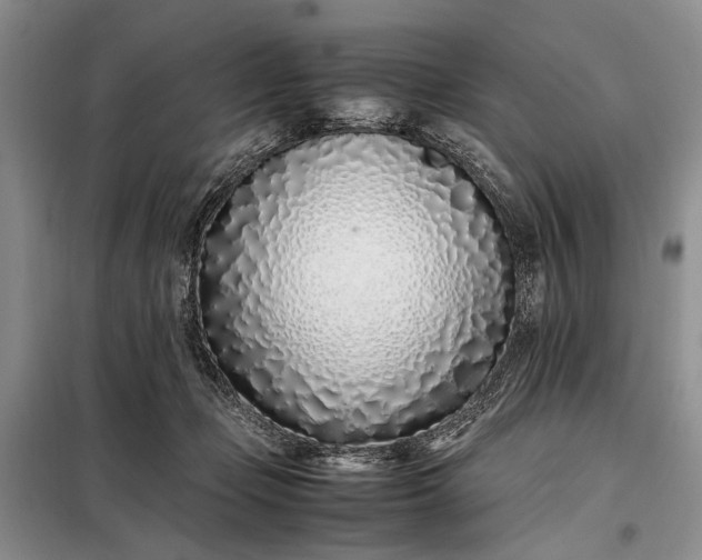 X0000097980365200804071131