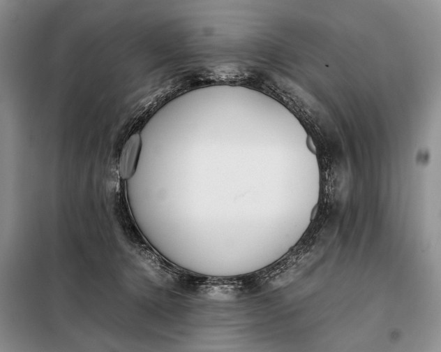 X0000097980368200804071131
