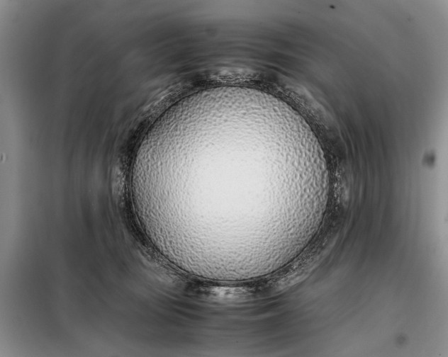 X0000097980371200804071131