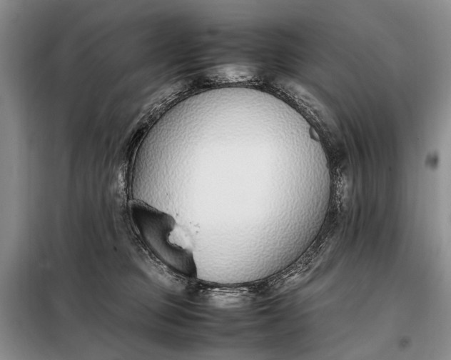 X0000097980373200804071131