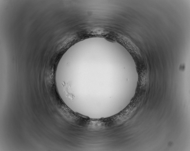 X0000097980376200804071131