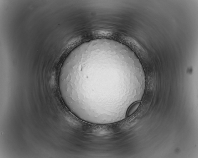X0000097980377200804071131