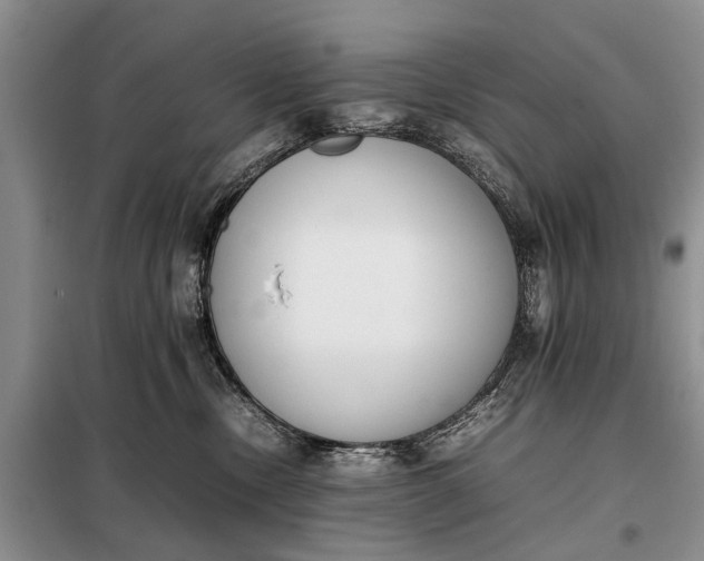 X0000097980378200804071131