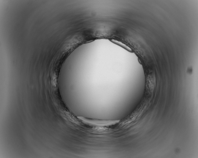 X0000097980380200804071131