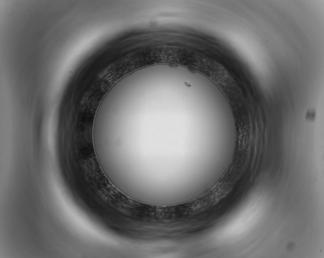 X0000097980383200804071131
