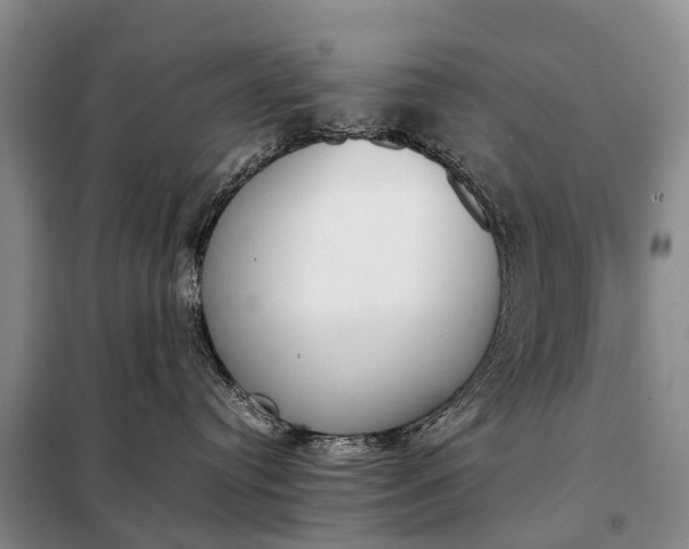 X0000097980384200804071131