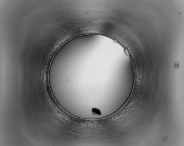 X0000097980386200804071130