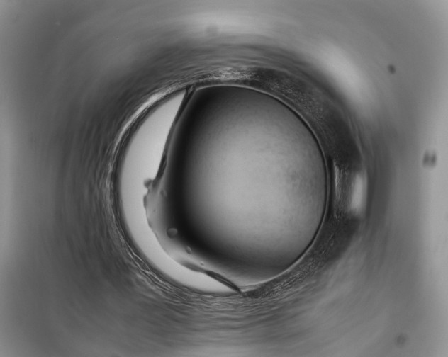 X0000097980387200804071130