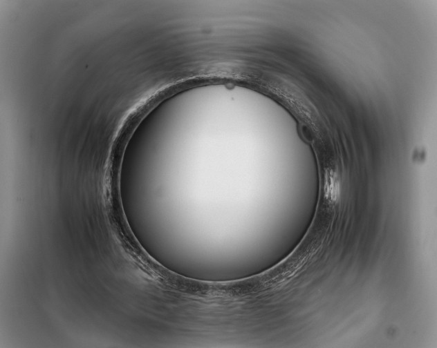 X0000097980388200804071130