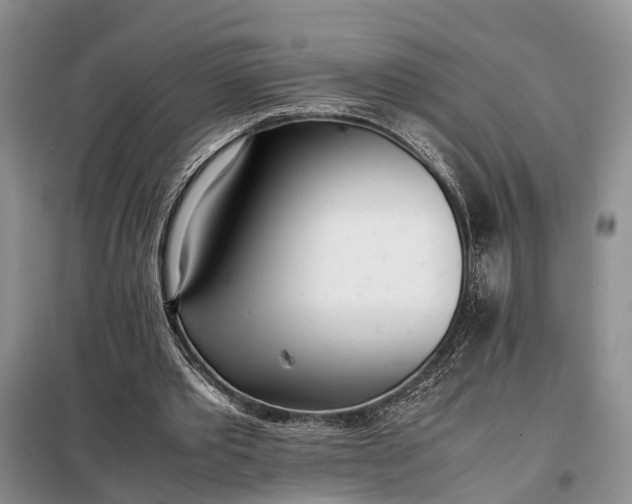 X0000097980389200804071130