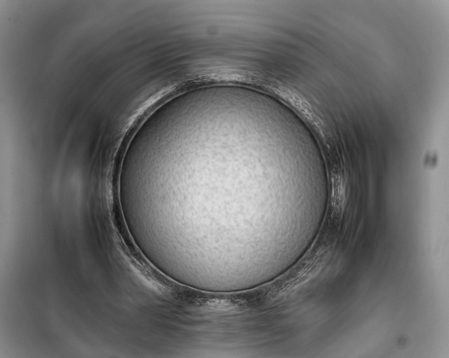 X0000097980390200804071130