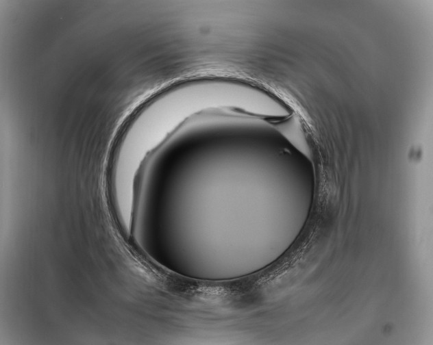 X0000097980391200804071130