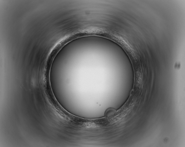 X0000097980392200804071130