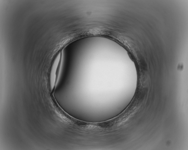 X0000097980393200804071130