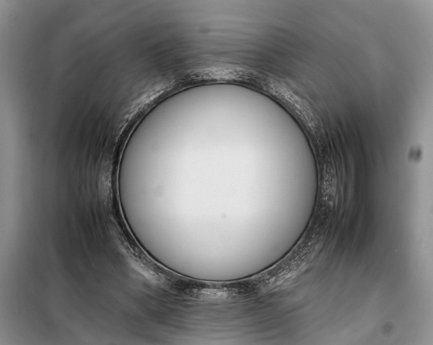 X0000097980394200804071130