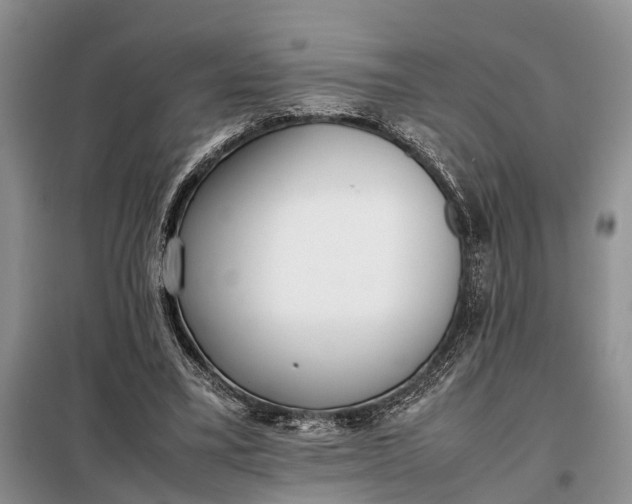 X0000097980395200804071130