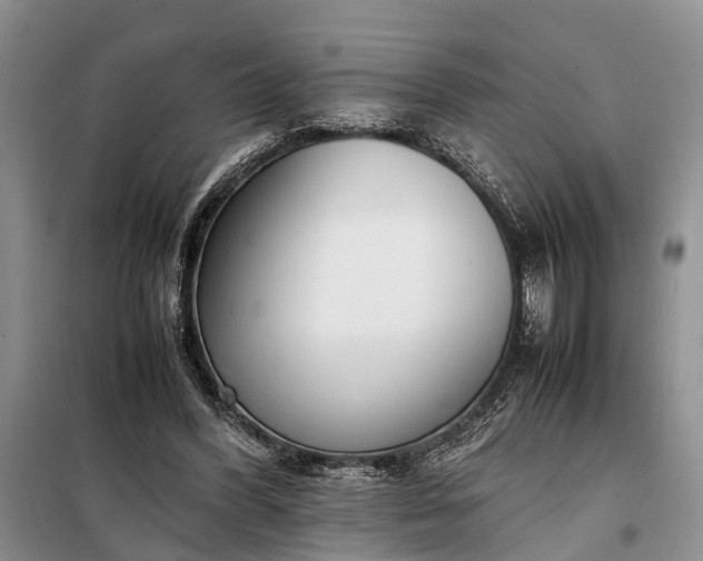 X0000097980396200804071130