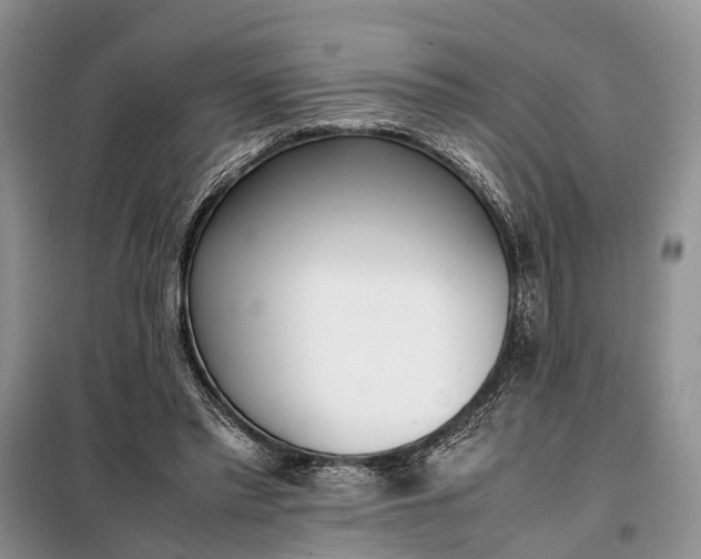 X0000097980397200804071130
