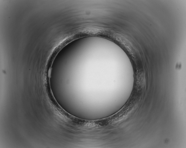 X0000097980399200804071130