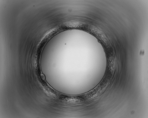 X0000097980400200804071130