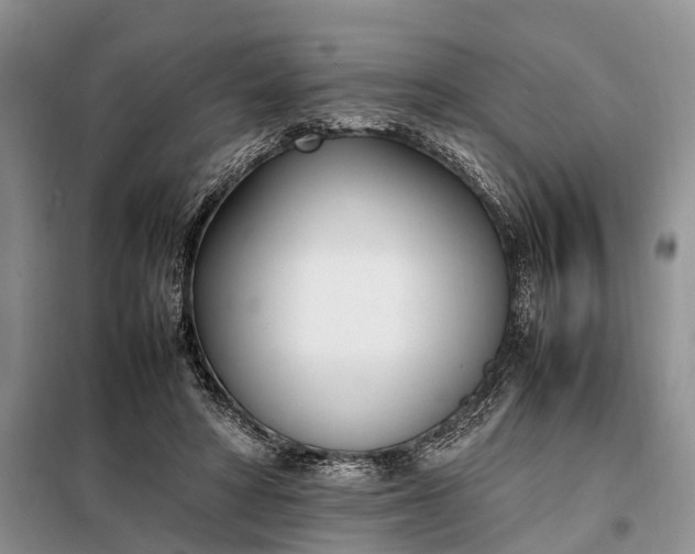 X0000097980402200804071130